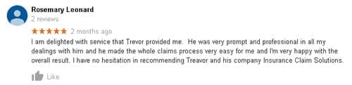 Google Review delighted with service