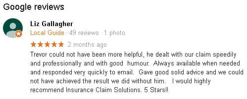 Google review Liz