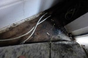 A Roof Leak Causes Severe Water Damage to a Building in Dublin 5 Roof Leak caused Water Damage